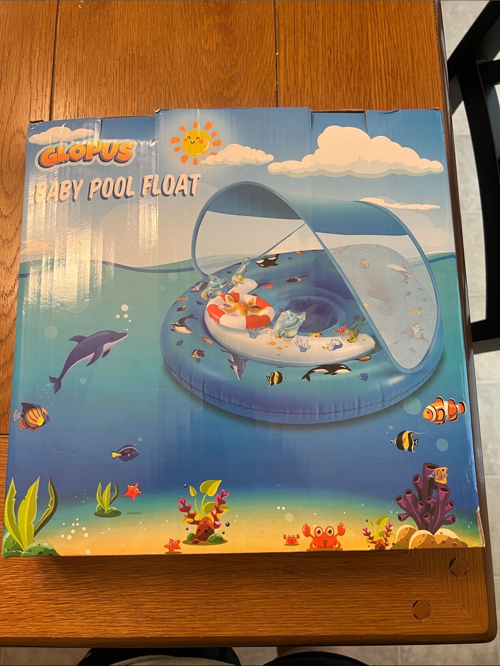 Blue Baby Pool Float with Sun Canopy